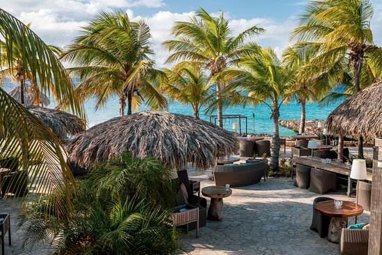 Club Tropicana