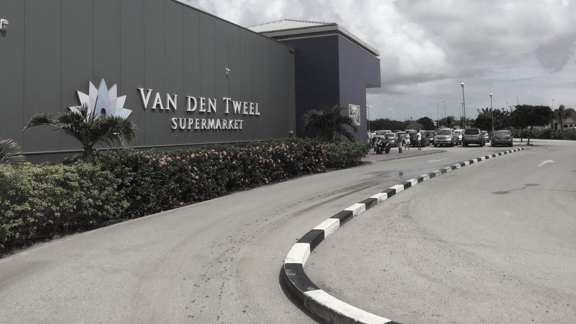 Van den Tweel