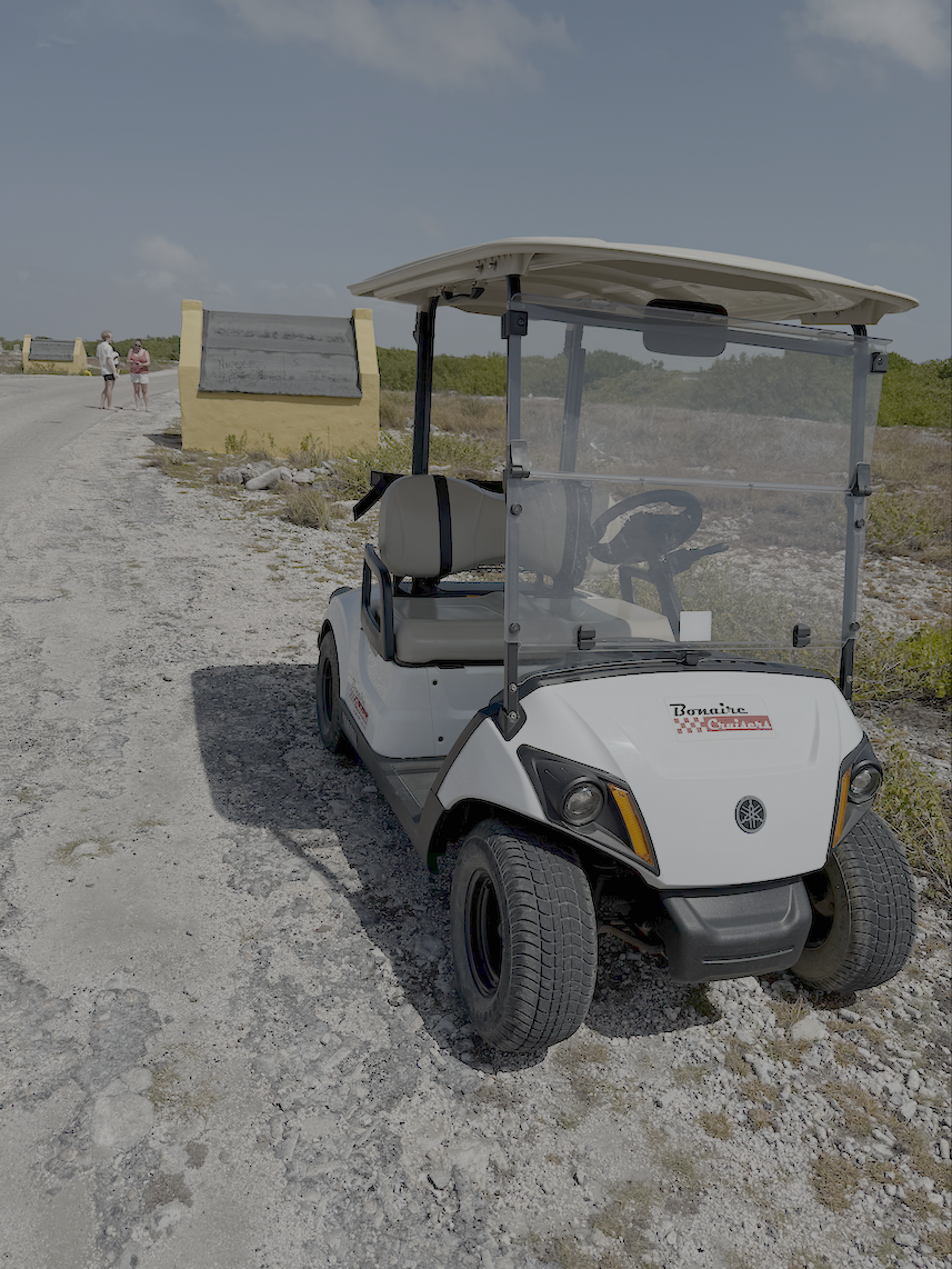 Bonaire Cruisers in Bonaire